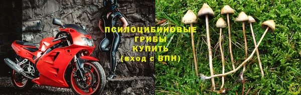 прущая мука Коряжма