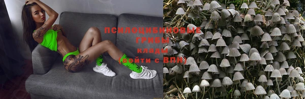 прущая мука Коряжма